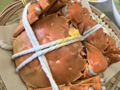 -巴城阳澄湖小芳农家乐