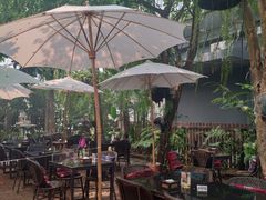 -Fern Forest Cafe
