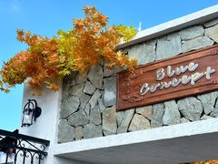 -Blue Concept Cafe&Farm·關於藍