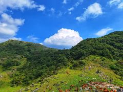 -秦岭风景区