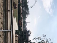 -上海野生动物园