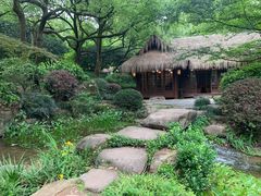 -中国茶叶博物馆(双峰馆区)