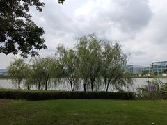 -琅岐红光湖公园