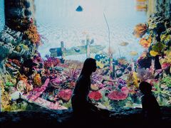 -暹罗海洋世界