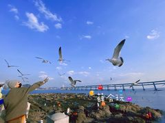 -黑石礁公园