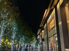 -成都雅诗阁来福士