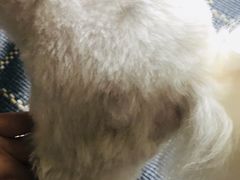 -喵汪宠物生活馆(涞坊路店)