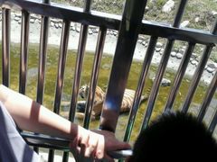 android_upload_pic-西安秦岭野生动物园