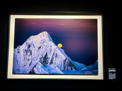 -罗红摄影艺术馆