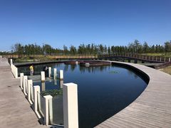 -春花秋色城市公园