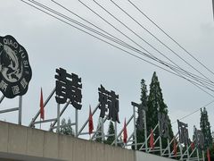 -彭大姐老店黄辣丁(新津店)