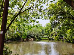 -西溪国家湿地公园