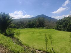 -黄埔油麻山森林公园