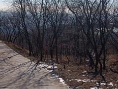 -北京西山国家森林公园