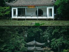 -杭州植物园