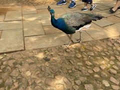 -昆明动物园