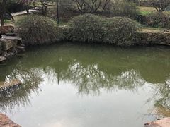 -香雪海