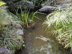 -聚缘·湘味音乐餐厅party(罗湖店)