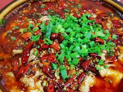 -乡土特色.冷锅鱼.牦牛肉汤锅