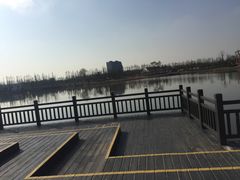 -上海长兴岛郊野公园