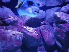 -成都浩海立方海洋公园