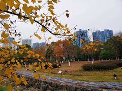 -白塘生态植物园
