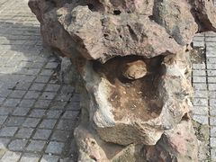 -伯先公园