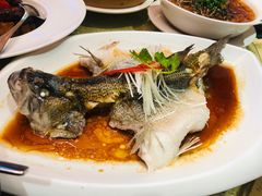 -铜锣湾·有麝自然香(重庆新天地店)