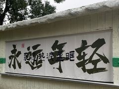 -南湖梦幻岛