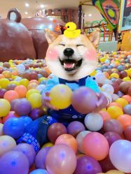 -熊孩子儿童主题乐园(八方地下商场店)