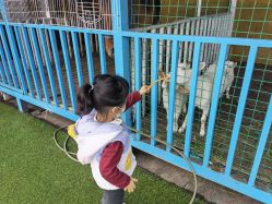 -小蜜蜂农场(凯德七宝购物广场店)