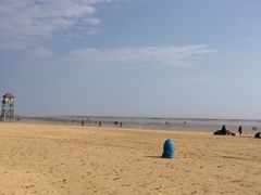 -碧海金沙