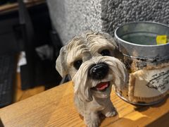 -姜虎东白丁烤肉(深圳湾后海汇店)