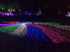 -济南国际园博园