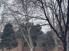 -西安电影制片厂