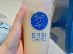 红西柚益生菌-陈多多·豆腐奶茶(前锋路店)