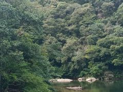 -龙湾潭国家森林公园