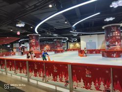 -冰世界真冰场(欢乐汇店)