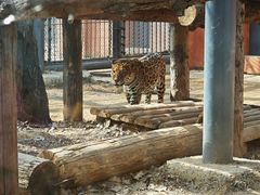 -济南野生动物世界