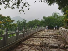 -阳台山自然风景区