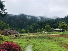 -广州市石门国家森林公园