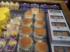 -优壹朵动物奶油生日蛋糕(大中大店)