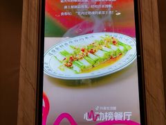 -朱记乳鸽王·非遗石岐乳鸽·全鸽宴(大兴旗舰店)