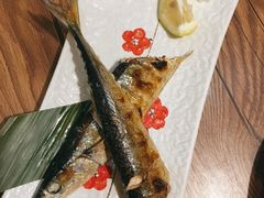 秋刀鱼-红叶日料·放题·海胆·定食(星海店)