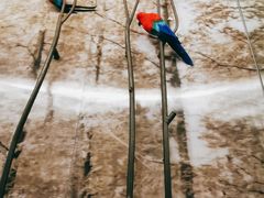 -杭州逸酒店(西湖武林店)