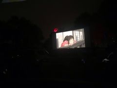 -枫花园汽车电影院(朝阳公园店)
