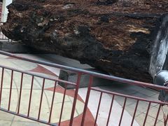 -海口骑楼小吃街