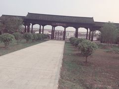 -南湖湿地公园