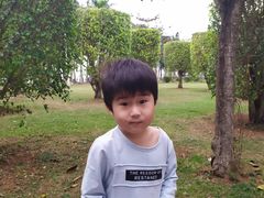-万绿园