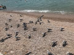 -海驴岛(荣成市)